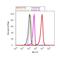 CCAAT Enhancer Binding Protein Alpha antibody, MA1-825, Invitrogen Antibodies, Flow Cytometry image 