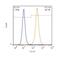 Lamin A/C antibody, NB100-56649, Novus Biologicals, Flow Cytometry image 