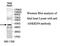 Ankyrin Repeat Domain 54 antibody, MBS415656, MyBioSource, Western Blot image 