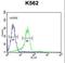 Enamelin antibody, LS-C167756, Lifespan Biosciences, Flow Cytometry image 