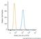 CD44 antibody, NBP2-34520F, Novus Biologicals, Flow Cytometry image 