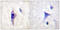 Phosphoinositide-3-Kinase Regulatory Subunit 1 antibody, LS-C199438, Lifespan Biosciences, Immunohistochemistry frozen image 