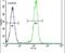 RAC-beta serine/threonine-protein kinase antibody, PA5-13759, Invitrogen Antibodies, Flow Cytometry image 