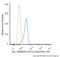 AXL Receptor Tyrosine Kinase antibody, NBP2-12044AF488, Novus Biologicals, Flow Cytometry image 