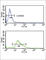 Plasminogen antibody, abx033318, Abbexa, Western Blot image 