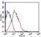 Fms Related Tyrosine Kinase 3 antibody, NBP2-42210, Novus Biologicals, Flow Cytometry image 