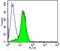 CD3g Molecule antibody, NBP2-22489, Novus Biologicals, Flow Cytometry image 