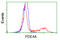 Phosphodiesterase 4A antibody, TA501203, Origene, Flow Cytometry image 