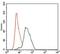 Twinfilin Actin Binding Protein 1 antibody, MA5-17194, Invitrogen Antibodies, Flow Cytometry image 