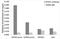 B-TFIID TATA-Box Binding Protein Associated Factor 1 antibody, GTX30095, GeneTex, Chromatin Immunoprecipitation image 