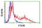 Follicle Stimulating Hormone Subunit Beta antibody, TA501582, Origene, Flow Cytometry image 