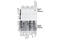 Fms Related Tyrosine Kinase 3 antibody, 3464S, Cell Signaling Technology, Western Blot image 
