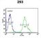 Potassium Channel Tetramerization Domain Containing 21 antibody, abx032508, Abbexa, Flow Cytometry image 