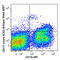 c-Kit antibody, 135120, BioLegend, Flow Cytometry image 
