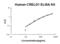 Cysteine Rich With EGF Like Domains 1 antibody, EK2182, Boster Biological Technology, Enzyme Linked Immunosorbent Assay image 