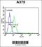 Citrate Synthase antibody, 62-094, ProSci, Flow Cytometry image 