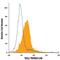 TNF Receptor Superfamily Member 13B antibody, FAB1741G, R&D Systems, Flow Cytometry image 