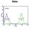 Spermatogenesis Associated 13 antibody, abx032546, Abbexa, Flow Cytometry image 