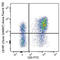 Lactosylceramide antibody, 353243, BioLegend, Flow Cytometry image 