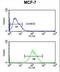 M31 antibody, LS-C168361, Lifespan Biosciences, Flow Cytometry image 