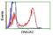 DnaJ Heat Shock Protein Family (Hsp40) Member A2 antibody, NBP2-02996, Novus Biologicals, Flow Cytometry image 