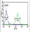 Spartin antibody, PA5-26051, Invitrogen Antibodies, Flow Cytometry image 