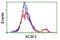 Acyl-CoA Synthetase Family Member 2 antibody, NBP2-02027, Novus Biologicals, Flow Cytometry image 