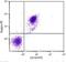 Immunoglobulin Kappa Constant antibody, NB100-64190, Novus Biologicals, Flow Cytometry image 