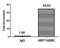 H2B/g antibody, orb517009, Biorbyt, Chromatin Immunoprecipitation image 