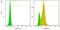 CD68 Molecule antibody, NBP2-34736B, Novus Biologicals, Flow Cytometry image 