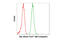 Spleen Associated Tyrosine Kinase antibody, 13709S, Cell Signaling Technology, Flow Cytometry image 