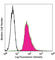 Phosphotyrosine antibody, 309306, BioLegend, Immunocytochemistry image 