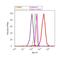 Insulin Receptor Substrate 1 antibody, 710009, Invitrogen Antibodies, Flow Cytometry image 
