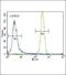 Colony Stimulating Factor 1 Receptor antibody, PA5-14569, Invitrogen Antibodies, Flow Cytometry image 