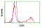 Serine Racemase antibody, LS-C115056, Lifespan Biosciences, Flow Cytometry image 