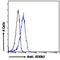 ATX2 antibody, NBP2-76807, Novus Biologicals, Flow Cytometry image 