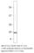 Interleukin-32 antibody, IL32-101AP, FabGennix, Western Blot image 