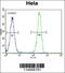 Leucine Rich Repeat Containing G Protein-Coupled Receptor 5 antibody, 61-476, ProSci, Immunofluorescence image 