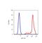 Glycoprotein Ib Platelet Subunit Alpha antibody, MA1-10223, Invitrogen Antibodies, Flow Cytometry image 