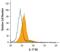 Interleukin 17 Receptor A antibody, AF448, R&D Systems, Flow Cytometry image 