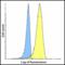 V-Set Immunoregulatory Receptor antibody, LS-C669112, Lifespan Biosciences, Flow Cytometry image 