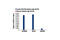JunB Proto-Oncogene, AP-1 Transcription Factor Subunit antibody, 3753S, Cell Signaling Technology, Chromatin Immunoprecipitation image 