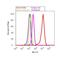 Keratin 14 antibody, MA5-11599, Invitrogen Antibodies, Flow Cytometry image 