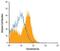 Chondrolectin antibody, MA5-24131, Invitrogen Antibodies, Flow Cytometry image 