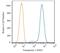 Transportin 1 antibody, NB600-1397, Novus Biologicals, Flow Cytometry image 