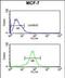 DIOII antibody, PA5-49631, Invitrogen Antibodies, Flow Cytometry image 