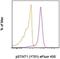 Signal Transducer And Activator Of Transcription 1 antibody, 48-9008-42, Invitrogen Antibodies, Flow Cytometry image 