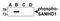 SAM And HD Domain Containing Deoxynucleoside Triphosphate Triphosphohydrolase 1 antibody, TA355001, Origene, Western Blot image 