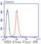 Nuclear Receptor Binding SET Domain Protein 3 antibody, A32443, Boster Biological Technology, Flow Cytometry image 