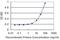Beta-Ureidopropionase 1 antibody, H00051733-M09, Novus Biologicals, Enzyme Linked Immunosorbent Assay image 